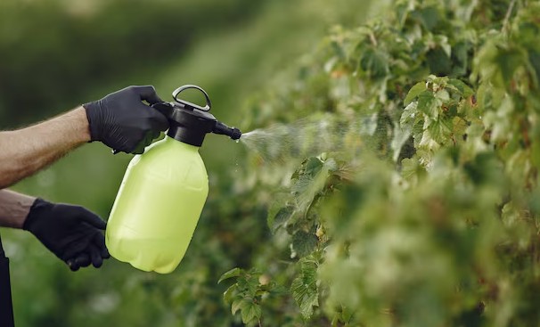 В ЧР прошли контрольные мероприятия Россельхознадзора в области применения пестицидов