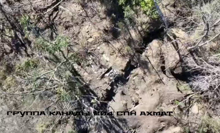 Спецназ «АХМАТ» уничтожил укрытие ВСУ на Харьковском направлении