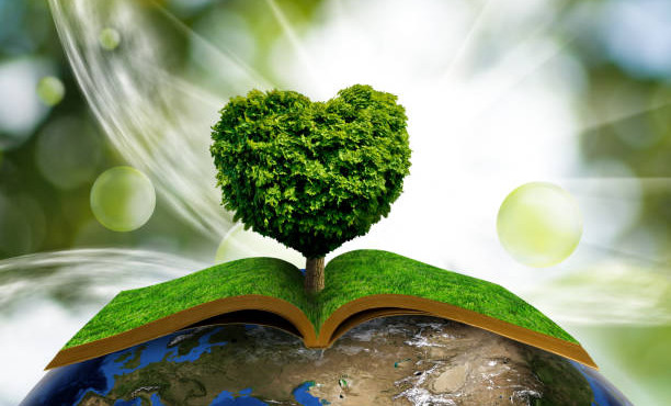 В Чеченской Республике стартует «Неделя экологических знаний»