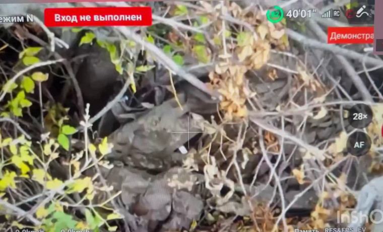 Рамзан Кадыров сообщил об уничтожении живой силы ВСУ на Сумском направлении