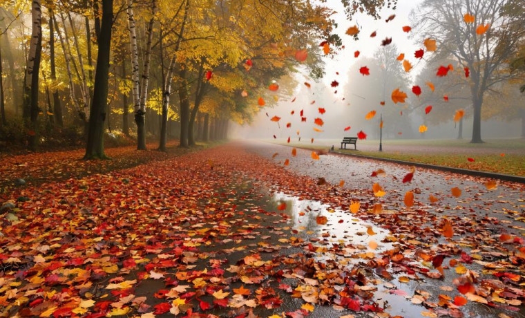 Дети радуются осени: праздники в Шелковском районе