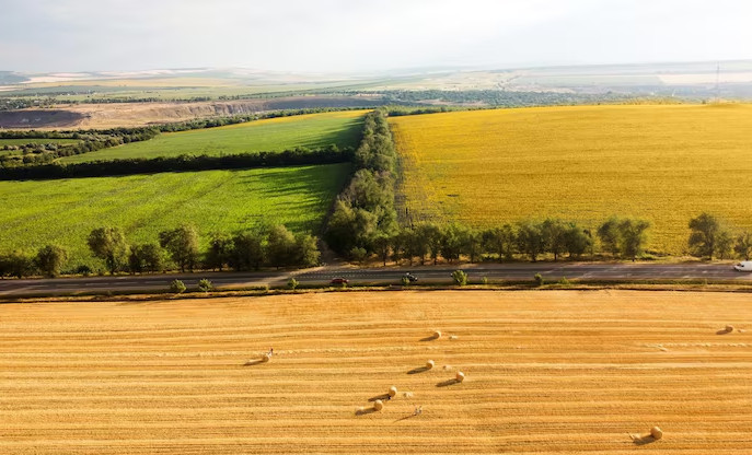Россельхознадзор информирует о вступлении в силу новых Правил рекультивации и консервации земель