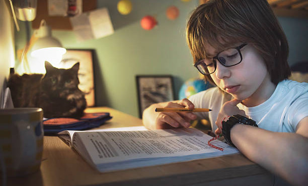 Школьники смогут получать домашние задания в приложении «Госуслуги»