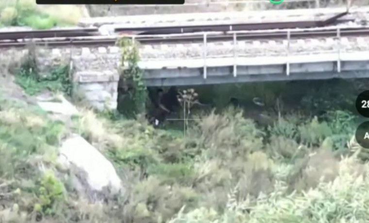 Бойцы полка «Север-АХМАТ» успешно провели операцию в районе Плещеевки