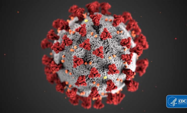 В ЧР выявлено 16 случаев заражения коронавирусом