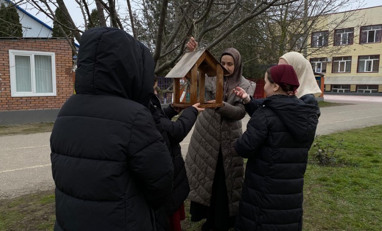В Надтеречном районе прошла экологическая акция «Покормите птиц зимой»