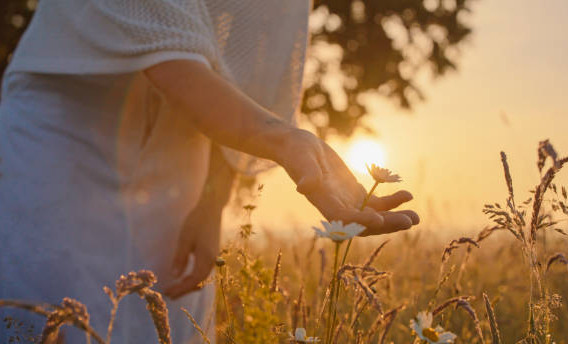 В России завершилась экоакция «Выбираю чистый воздух»