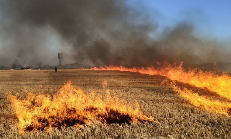 Россельхознадзор напоминает о необходимости соблюдения мер пожарной безопасности