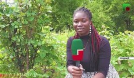 Владельцы приусадебных участков ЧР снимают первый урожай